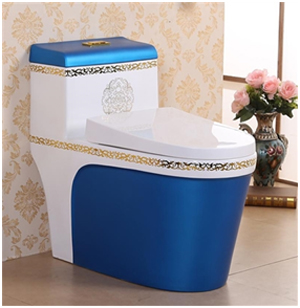 Vermont European Style Floor Mounted Lavatory in Ceramic White and Blue Finish with Gold lining design